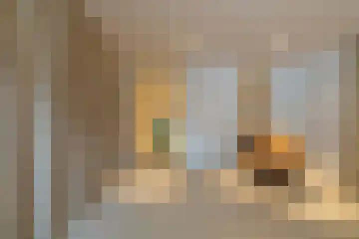 Robert Schumannstraat 15 Utrecht thumbnail 32