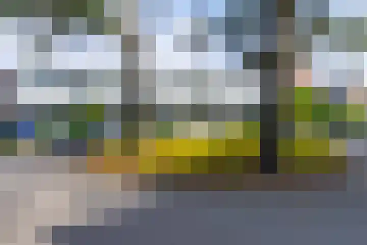 Robert Schumannstraat 15 Utrecht thumbnail 6
