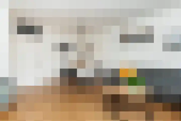 Robert Schumanring 101 Vlaardingen thumbnail 11