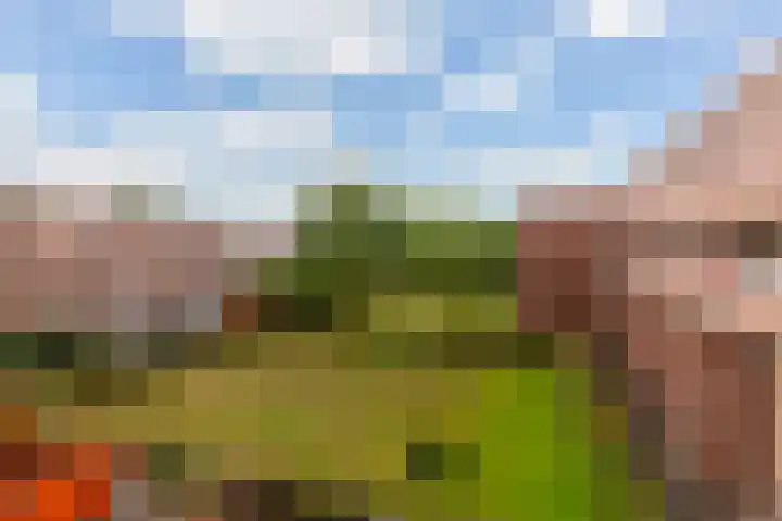 Robert Schumanring 101 Vlaardingen thumbnail 16