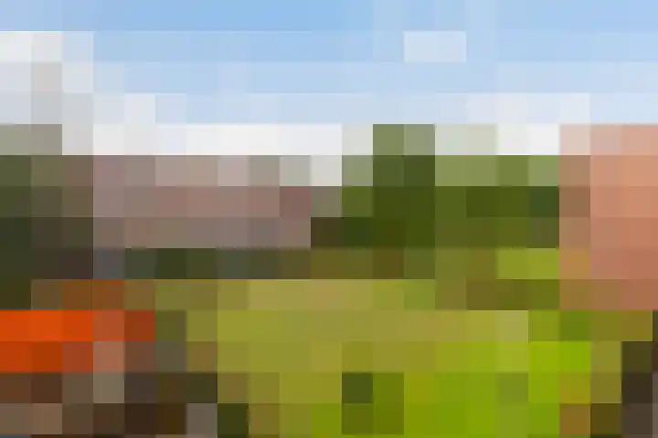 Robert Schumanring 101 Vlaardingen thumbnail 17