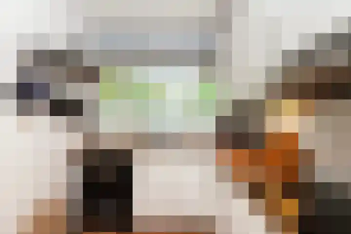 Robert Schumanring 101 Vlaardingen thumbnail 18