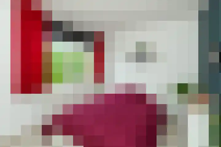 Robert Schumanring 101 Vlaardingen thumbnail 22