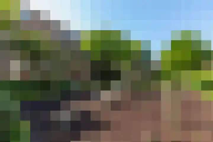 Robert Schumanring 101 Vlaardingen thumbnail 30