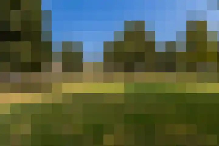 Robert Schumanring 101 Vlaardingen thumbnail 32