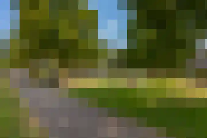 Robert Schumanring 101 Vlaardingen thumbnail 33