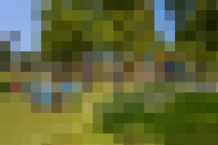 Robert Schumanring 101 Vlaardingen thumbnail 34