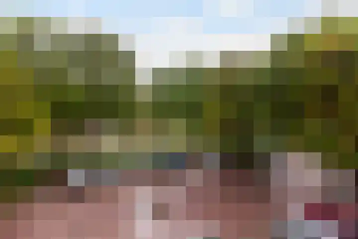 Robert Schumanring 101 Vlaardingen thumbnail 6
