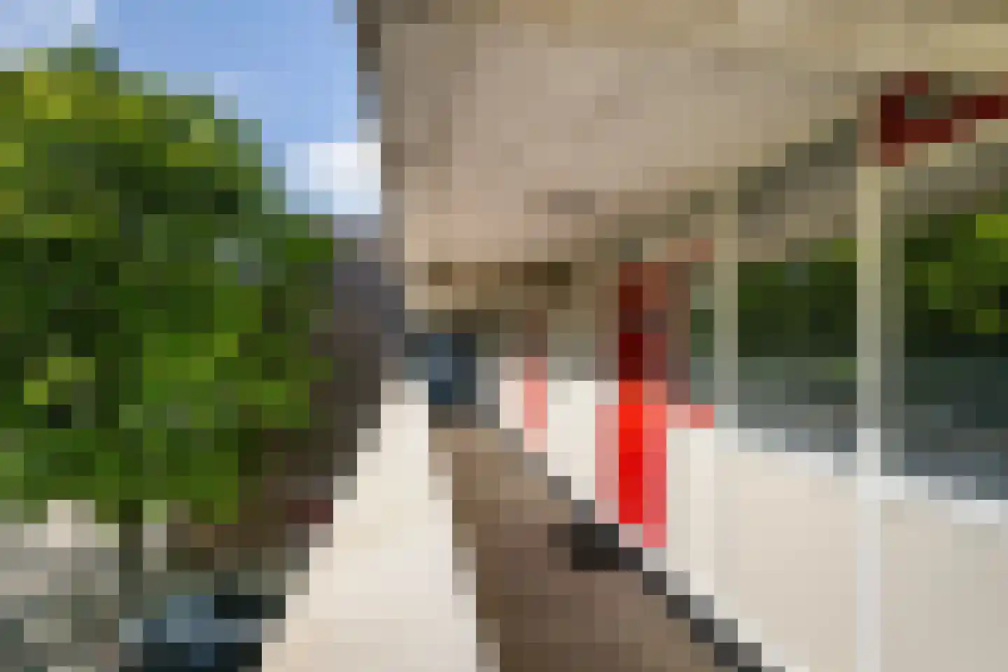 Robert Schumanring 103 Vlaardingen thumbnail 10