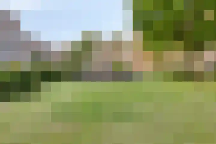 Robert Schumanring 104 Vlaardingen thumbnail 37