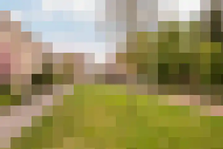 Robert Schumanring 168 Vlaardingen thumbnail 36