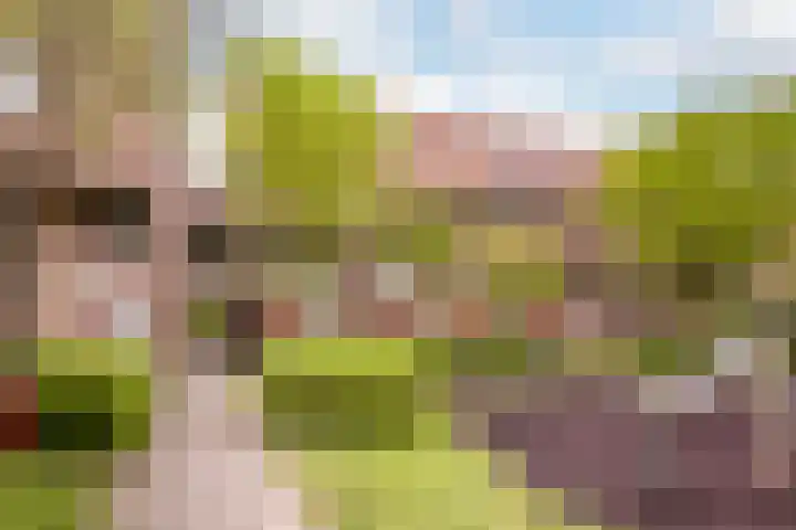 Robert Schumanring 168 Vlaardingen thumbnail 6