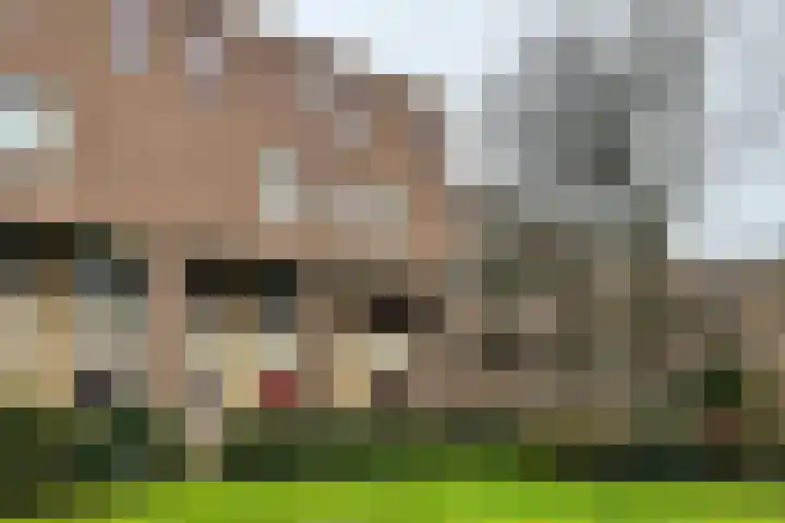 Robert Schumanring 170 Vlaardingen thumbnail 26