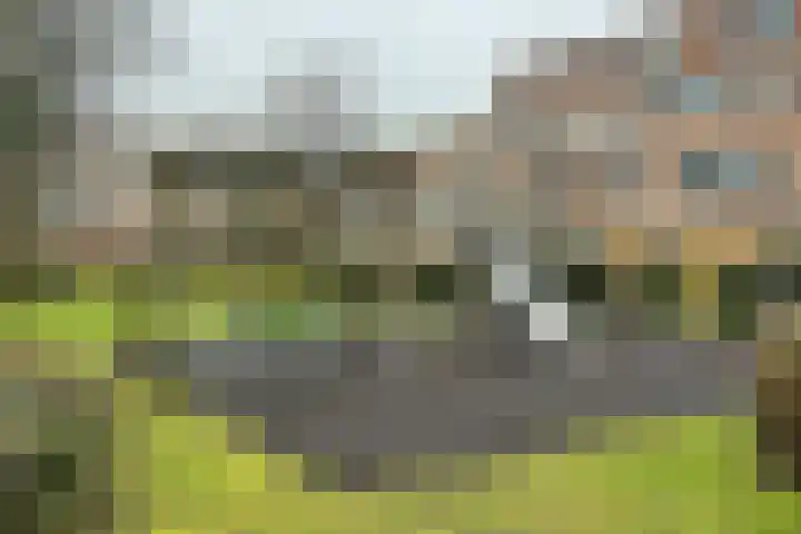 Robert Schumanring 170 Vlaardingen thumbnail 29