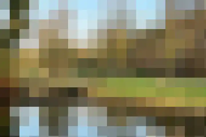 Robert Schumanring 170 Vlaardingen thumbnail 30