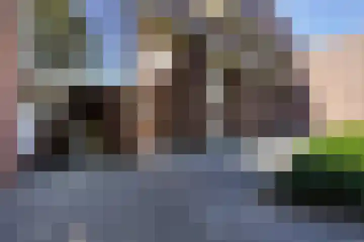 Robert Schumanring 197 Vlaardingen thumbnail 32
