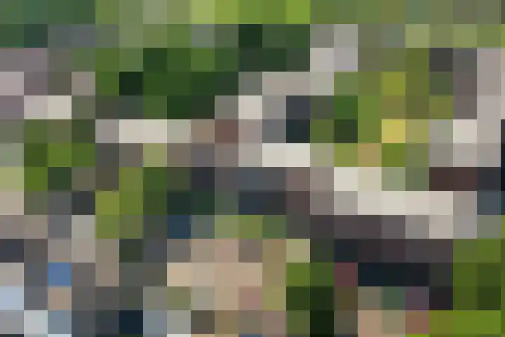 Robert Schumanring 197 Vlaardingen thumbnail 42