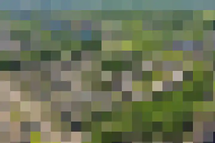 Robert Schumanring 197 Vlaardingen thumbnail 45
