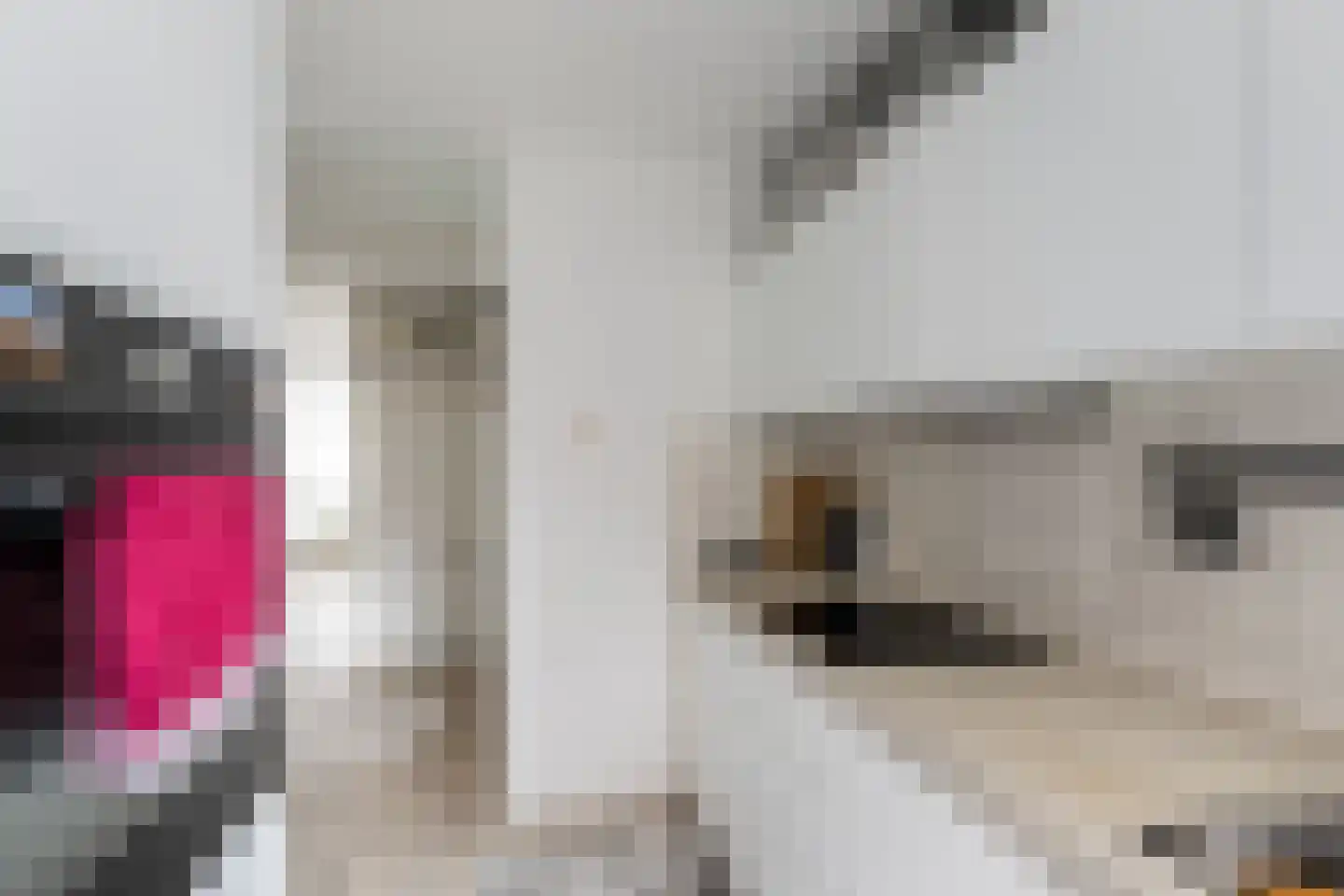 Robert Schumanring 208 Vlaardingen thumbnail 16