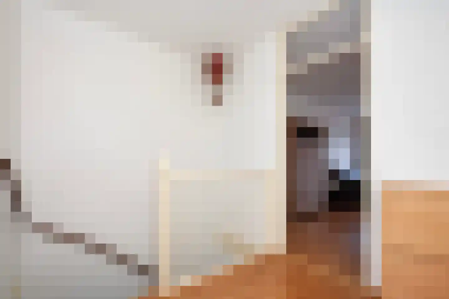 Robert Schumanring 217 Vlaardingen thumbnail 11