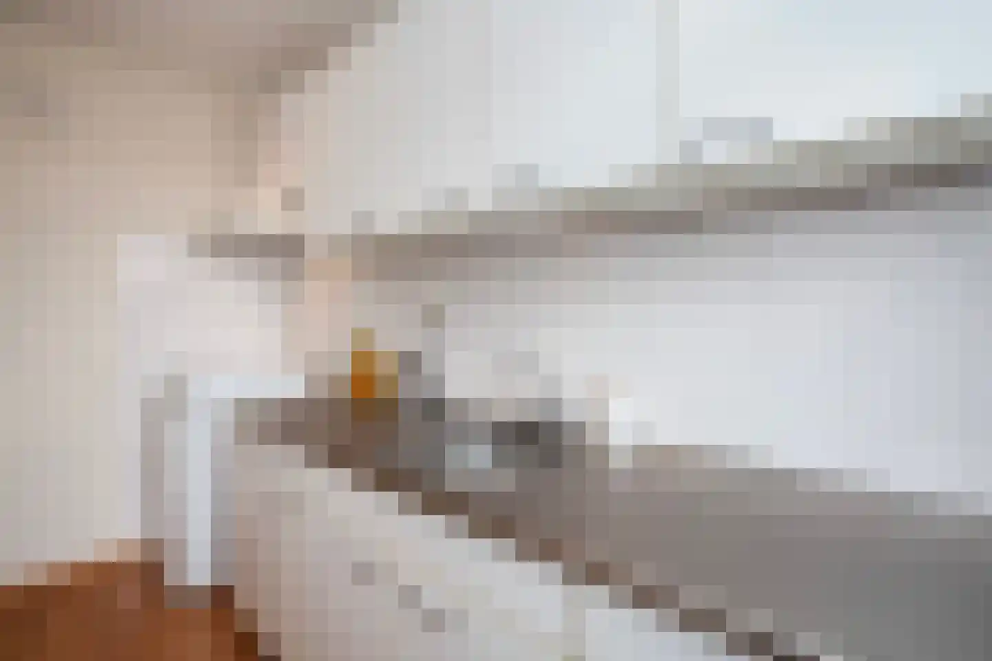 Robert Schumanring 217 Vlaardingen thumbnail 19