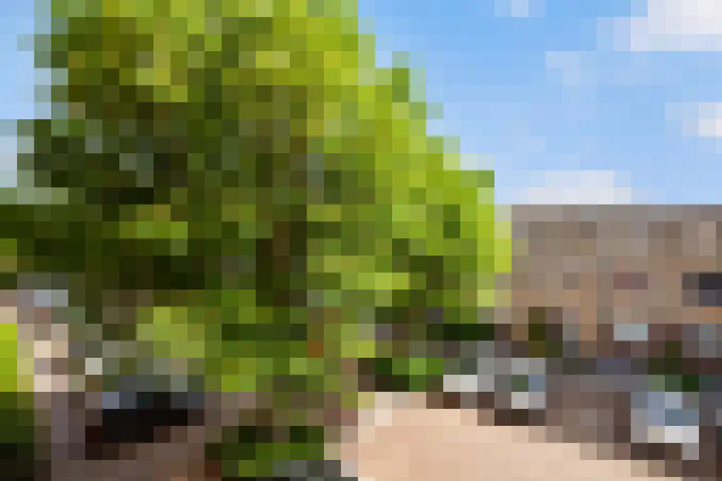 Robert Schumanring 217 Vlaardingen thumbnail 29