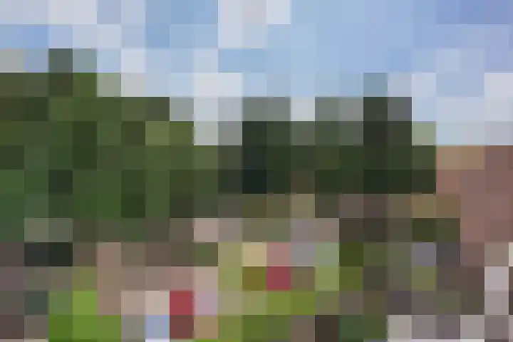 Robert Schumanring 233 Vlaardingen thumbnail 29