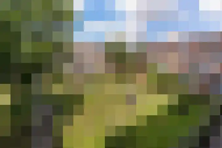 Robert Schumanring 233 Vlaardingen thumbnail 32