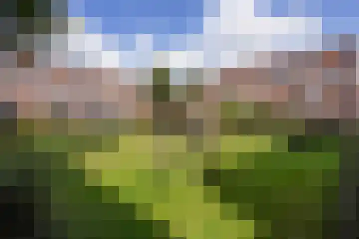 Robert Schumanring 233 Vlaardingen thumbnail 33