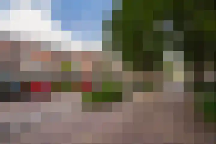 Robert Schumanring 233 Vlaardingen thumbnail 34