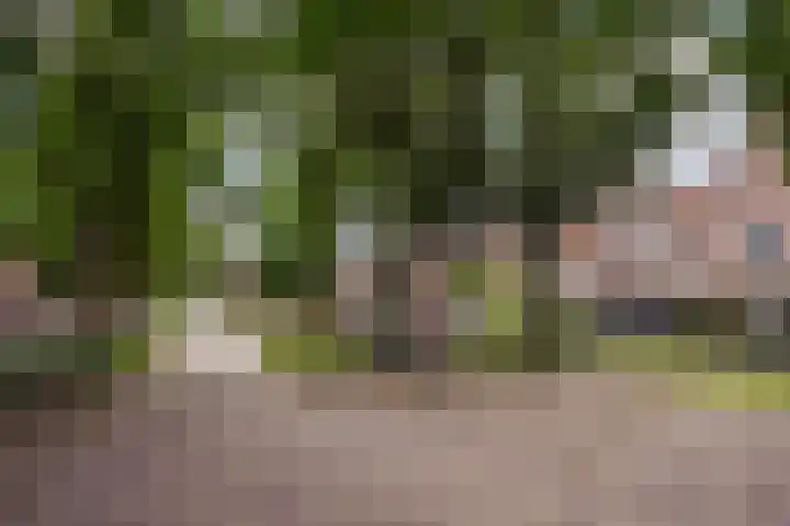 Robert Schumanring 233 Vlaardingen thumbnail 35