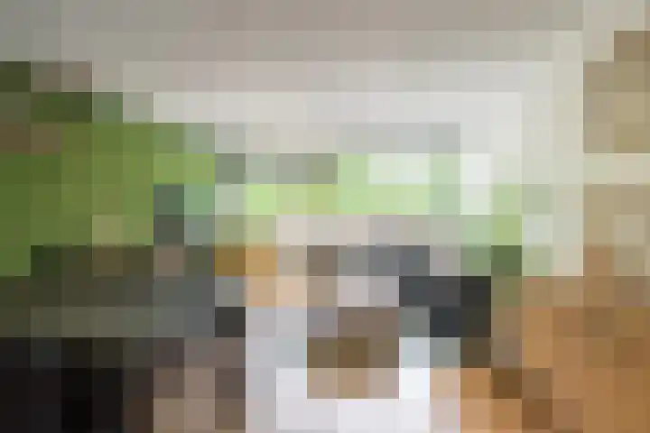 Robert Schumanring 249 Vlaardingen thumbnail 15