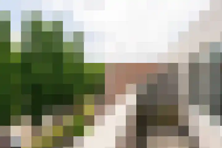 Robert Schumanring 249 Vlaardingen thumbnail 18
