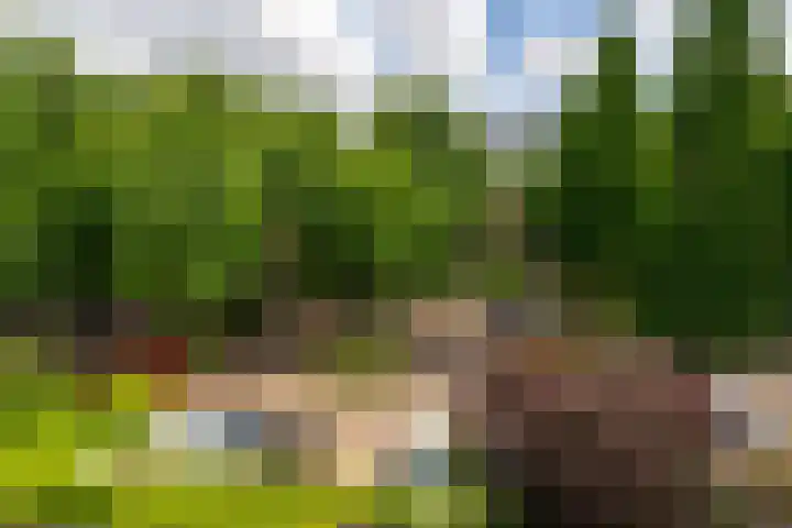 Robert Schumanring 249 Vlaardingen thumbnail 19