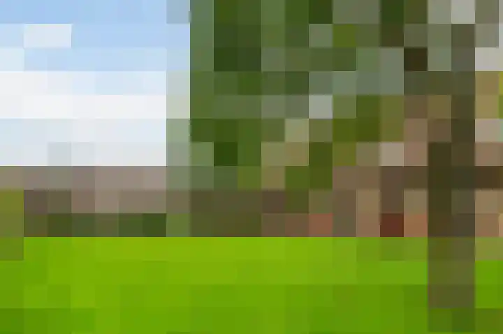 Robert Schumanring 249 Vlaardingen thumbnail 26
