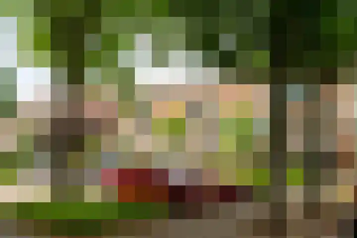 Robert Schumanring 249 Vlaardingen thumbnail 28