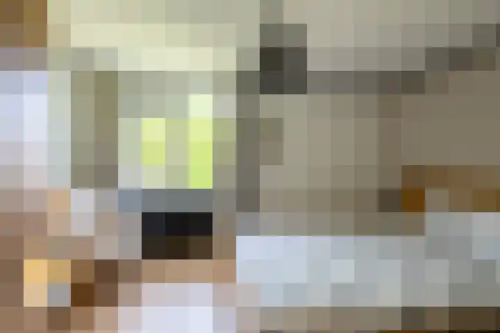 Robert Schumanring 249 Vlaardingen thumbnail 7