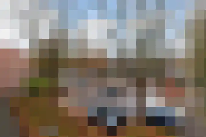 Robert Schumanring 250 Vlaardingen thumbnail 40