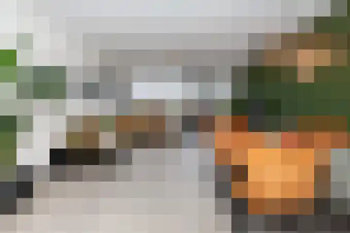 Robert Schumanring 250 Vlaardingen thumbnail 8