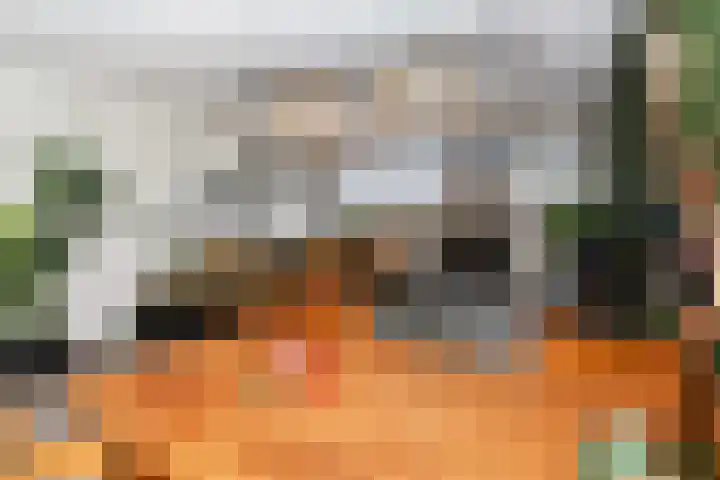 Robert Schumanring 250 Vlaardingen thumbnail 9