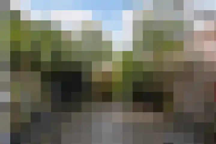 Robert Schumanring 43 Vlaardingen thumbnail 18