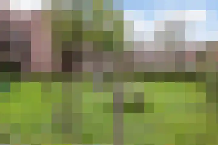 Robert Schumanring 43 Vlaardingen thumbnail 34