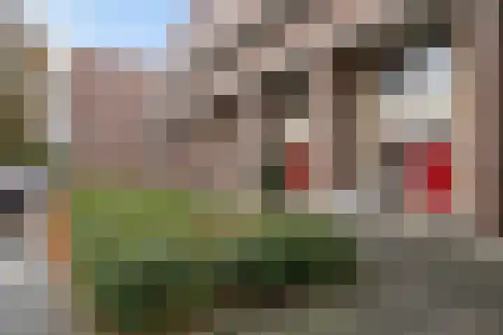 Robert Schumanring 43 Vlaardingen thumbnail 35