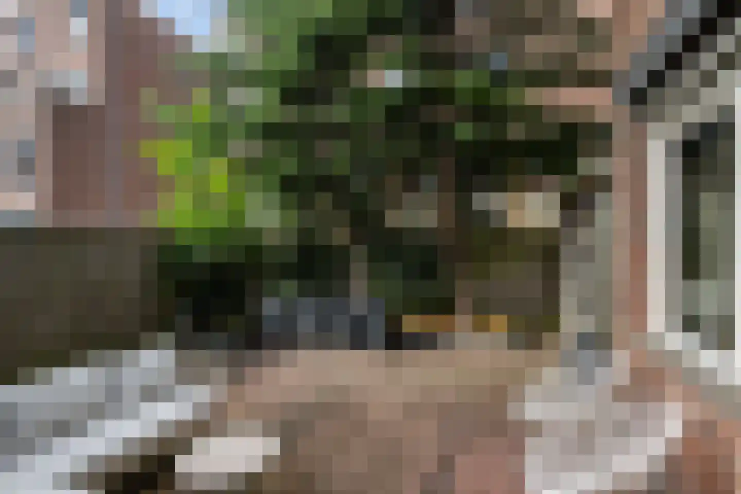Robert Schumanring 9 Vlaardingen thumbnail 18