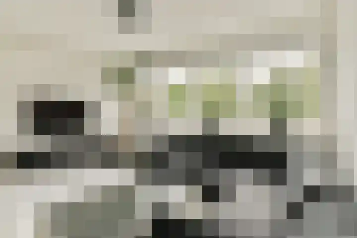 Robert Schumanring 95 Vlaardingen thumbnail 7