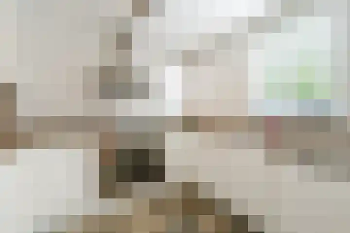 Robert Schumansingel 6 Budel thumbnail 13