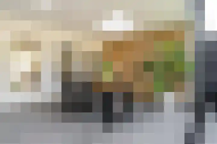 Robert Schumansingel 6 Budel thumbnail 16