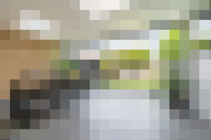 Robert Schumansingel 6 Budel thumbnail 18
