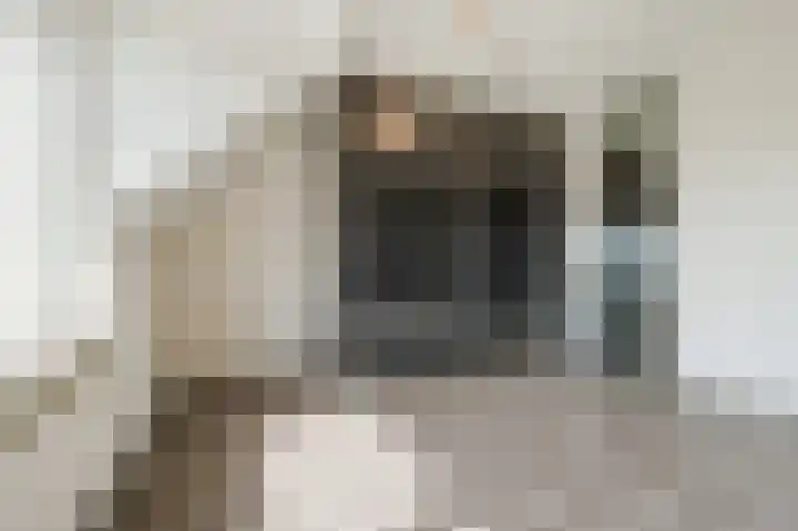 Robert Schumansingel 6 Budel thumbnail 26