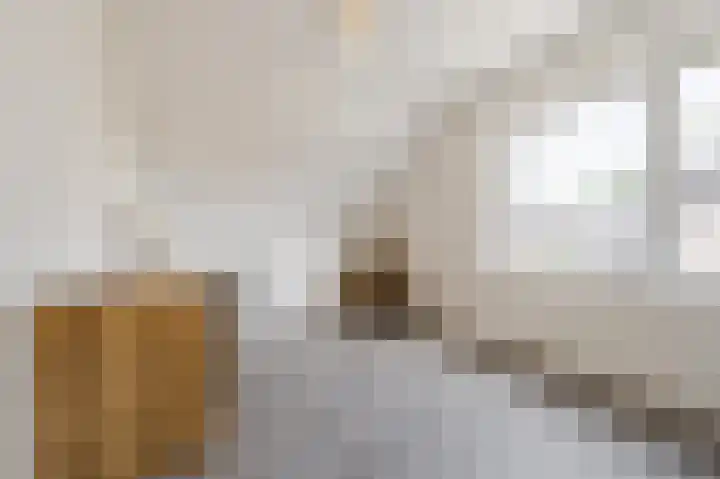 Robert Schumansingel 6 Budel thumbnail 27